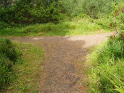 Image on trail